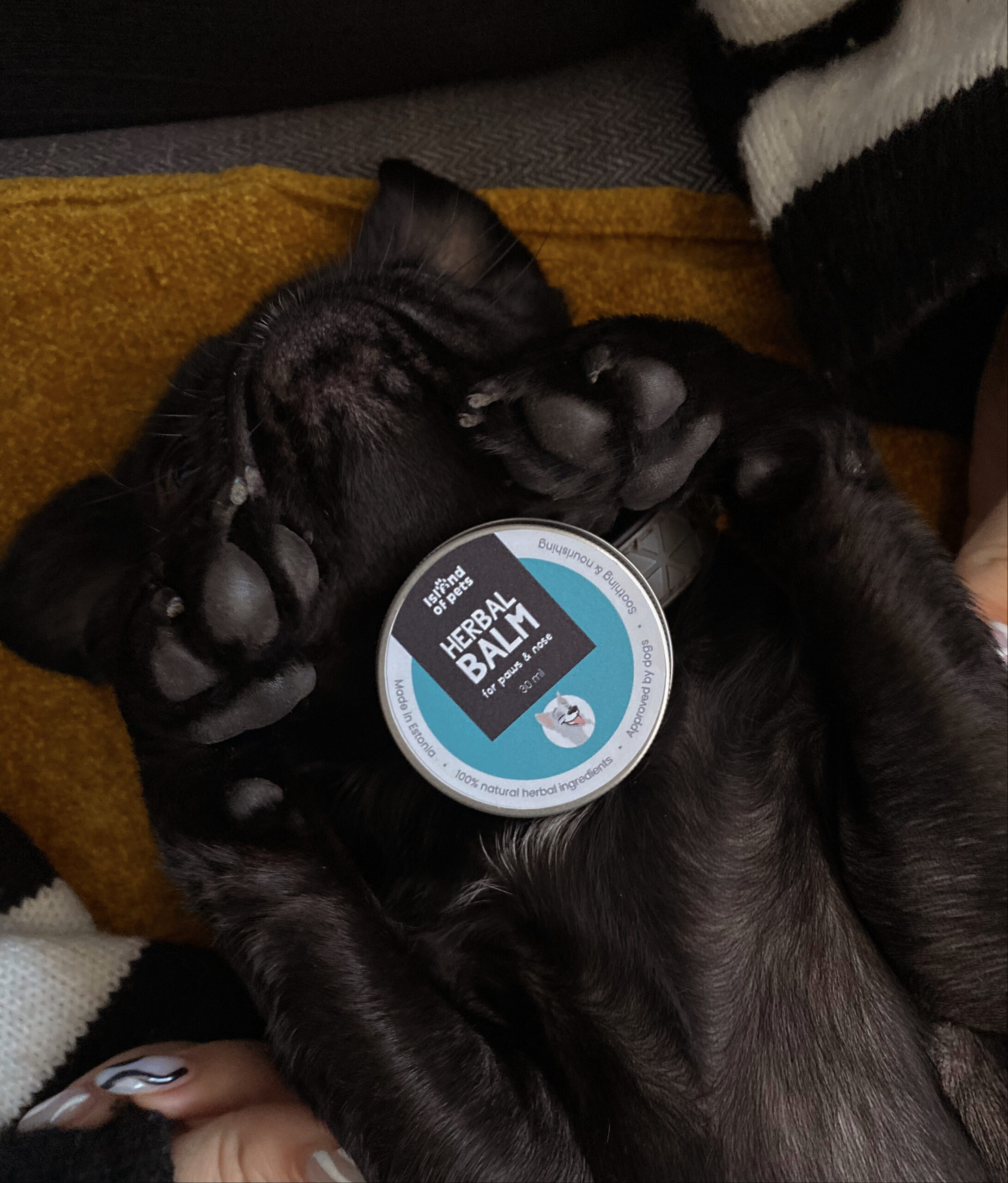 IOP Herbal Balm nina- ja käpasalv